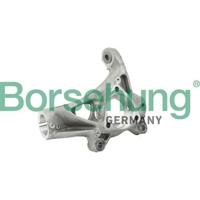 Čep nápravy, zavěšení kol Borsehung B18510