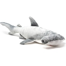 žralok kladivoun 60 cm