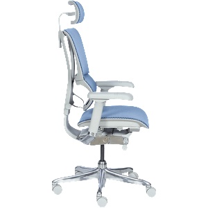 Ergohuman Ергономичен стол ergohuman ioo elite 2 - сива рамка - син (3520672) - bay