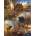 Norimpex - Puzzle Diamant painting: Forest animals 30x40cm - 1 - 39 piese
