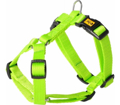 Dingo ENERGY GUARD POSTROJ