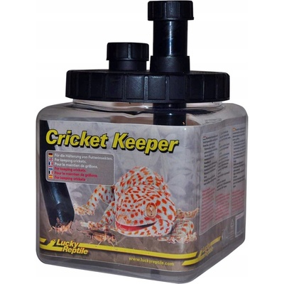 Lucky Reptile Cricket Keeper