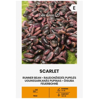 Seklos Фасул Скарлет Scarlet (увивен с шарено лилаво-черно зърно)