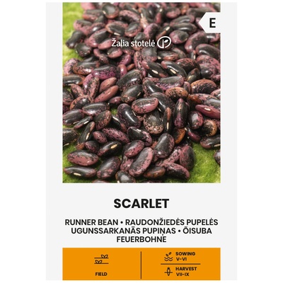 Seklos Фасул Скарлет Scarlet (увивен с шарено лилаво-черно зърно)