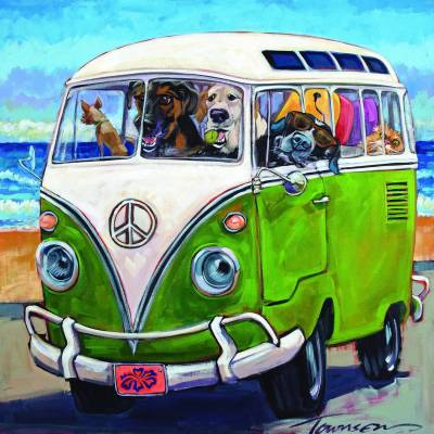 SunsOut - Puzzle Hang Loose - 500 piese