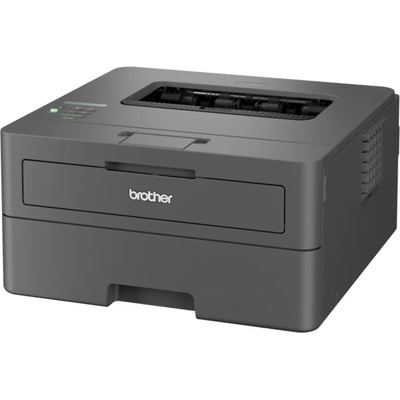 Brother HL-L2400DW (HLL2400DWRE1)