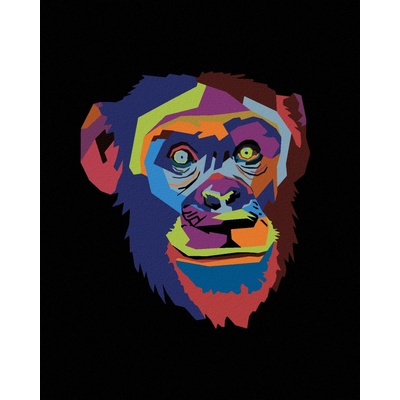 Zuty Malování podle čísel ABSTRAKTNÍ POP ART OPICE NA ČERNÉM POZADÍ