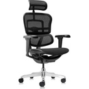 Antares Ergohuman Ultra UPH