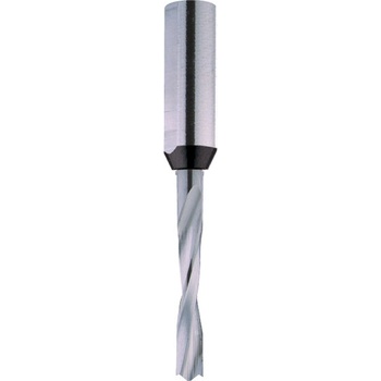 IGM C31101320
