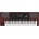 KORG Pa1000