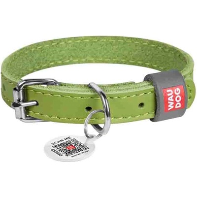 CoLLaR Obojek kožený WAUDOG Classic