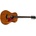 Taylor GS Mini Mahogany