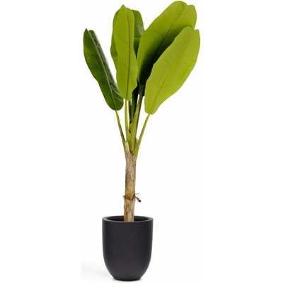 Umelá palma (výška 160 cm) Baa – Kave Home