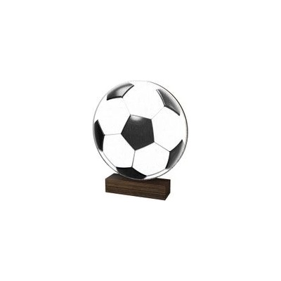 Poháry Bauer Dřevěná plaketa WF256 Fotbal