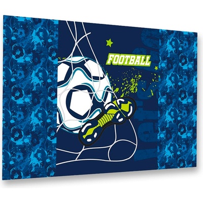Karton P+P Fotbal 60 x 40 cm 3-81520 – Zboží Dáma