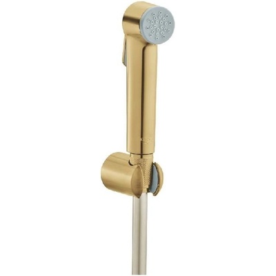 Grohe 27513GN1
