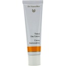 Dr. Hauschka Tinted Day Cream 30 ml