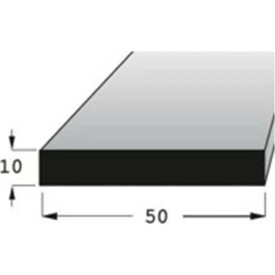 Hranolek 50x10mm, délka 200cm