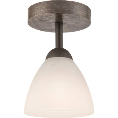 LAMKUR Плафон ADRIANO 1xE27/60W/230V, монтаж на таван (LA28293)