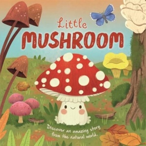 Little Mushroom | Autumn Publishing (ISBN: 9781837951192)