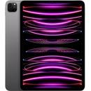Apple iPad Pro 11 (2022) 2TB Wi-Fi Space Gray MNXM3FD/A