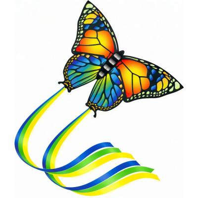 Günther BUTTERFLY 95 x 63 cm
