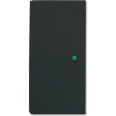 Busch-Jaeger 2CKA006220A0503
