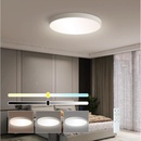 Immax 07252L