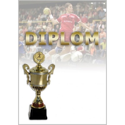 DH02b Diplom házená