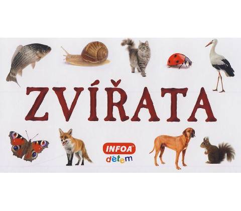 Zvířata