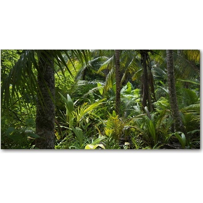Fotoobraz na skle tropický les 100x50 cm