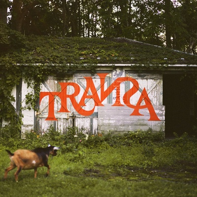 Various Artists - TRANSA (Deluxe Edition) (Box Set) (6 LP) (0843563184059)