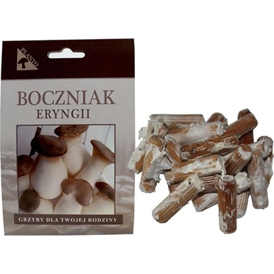 PLANTO Hlíva máčková Pleurotus eryngii 20 ks podhoubí na kolících PO-HM-20 KS
