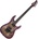 Schecter C6 PRO