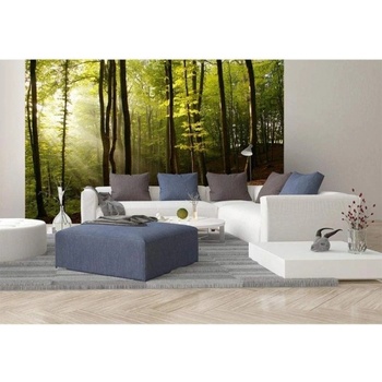 DIMEX ART s. r. o Флизелинов фототапет гора 375 x 250 см