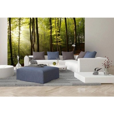 DIMEX ART Флизелинов фототапет гора 375 x 250 см