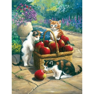 Royal Langnickel Malování podle čísel Kočky 22 x 30 cm