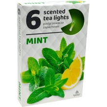 Admit Tea Lights Mint 6 ks