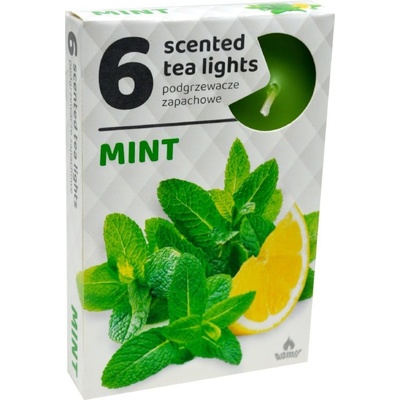 Admit Tea Lights Mint 6 ks