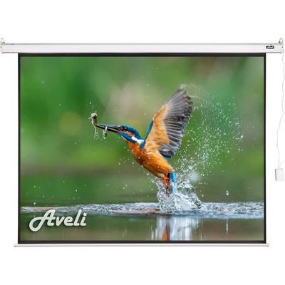AVELI 175x131 4:3 86" - XRT-00171