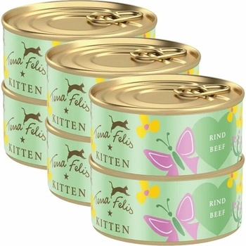 Terra Felis Kitten Beef 6 x 70 g