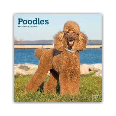 Browntrout Verlags GmbH Poodles - Pudel 2027 - 16-Monatskalender | BrownTrout Publishers Inc