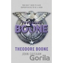 Theodore Boone