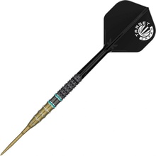 steel Target Japan Mikuru Suzuki Miracle G7.5 24 g SP 95% wolfram