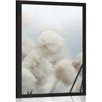 Plakát arktické květiny bavlny - 20x30 white