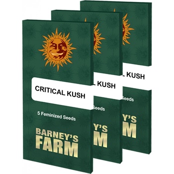 Barney's Farm Critical Kush semena neobsahují THC 3 ks