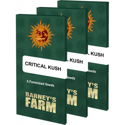 Barney's Farm Critical Kush semena neobsahují THC 3 ks