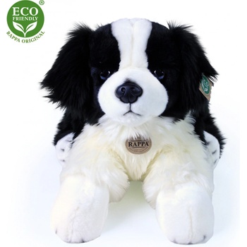 Eco-Friendly pes Border kólie ležící 60 cm