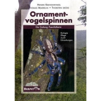 Ornamentvogelspinnen