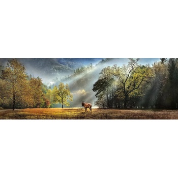 Heye - Puzzle Morning greeting panorama - 1 000 piese